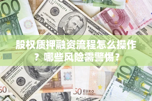 济南股权质押融资流程怎么操作？哪些风险需警惕？